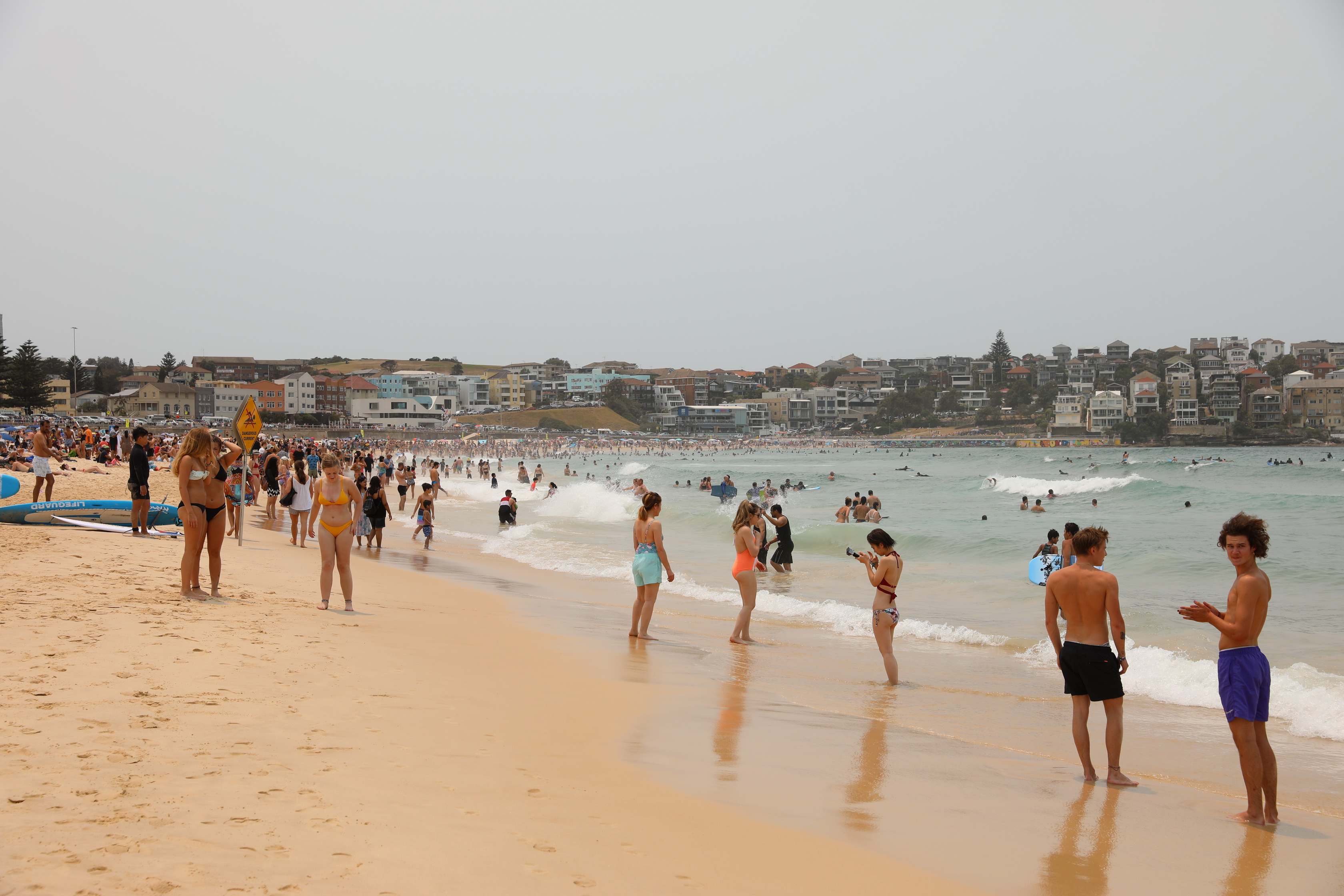 Bondi Beach